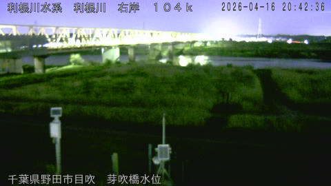 tonme2026041621_image