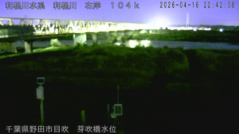 tonme2026041623_image