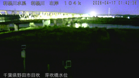 tonme2026041702_image