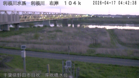 tonme2026041705_image