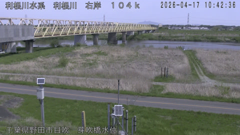 tonme2026041711_image