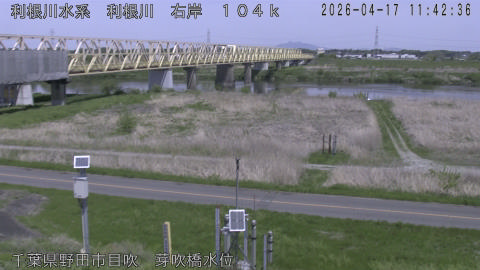 tonme2026041712_image