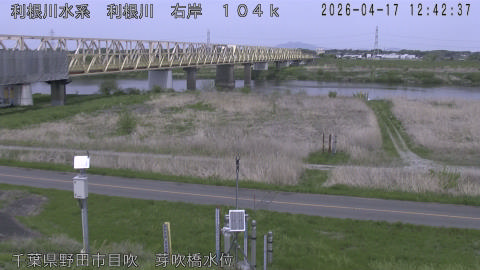 tonme2026041713_image