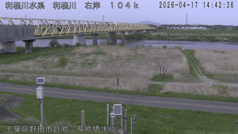 tonme2026041715_image