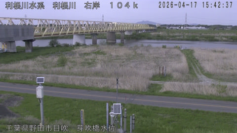 tonme2026041716_image