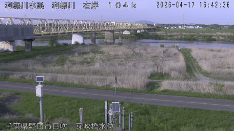 tonme2026041717_image