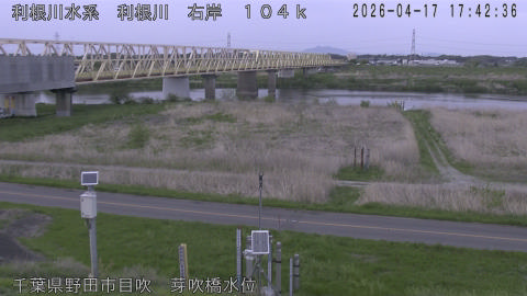 tonme2026041718_image