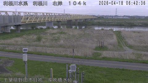 tonme2026041807_image