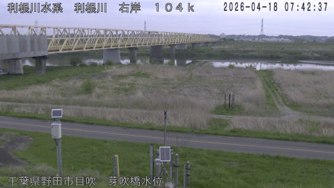 tonme2026041808_image