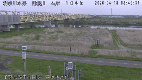 tonme2026041809_image