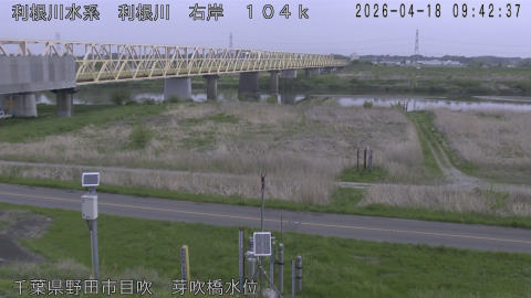 tonme2026041810_image