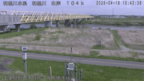 tonme2026041811_image