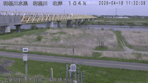 tonme2026041812_image