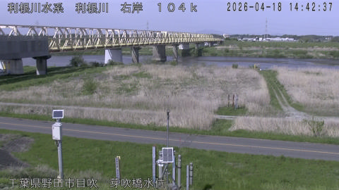 tonme2026041815_image