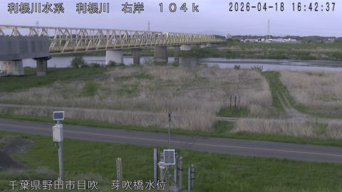 tonme2026041817_image