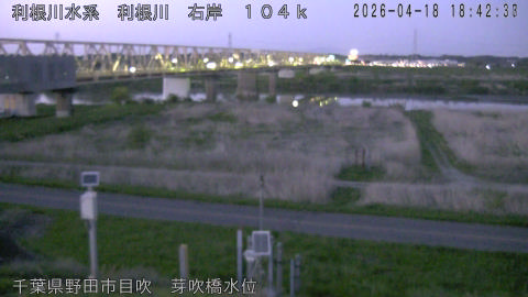 tonme2026041819_image