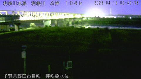 tonme2026041901_image