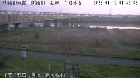 tonme2026041905_image