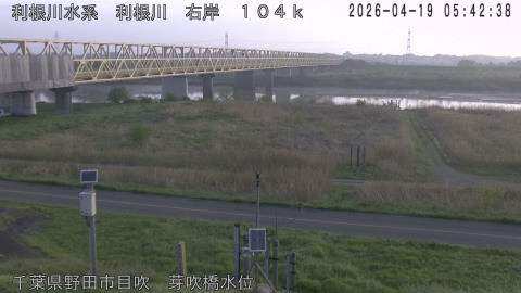 tonme2026041906_image