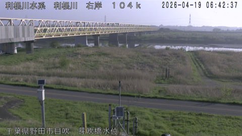 tonme2026041907_image