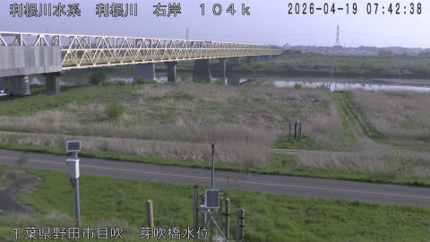 tonme2026041908_image