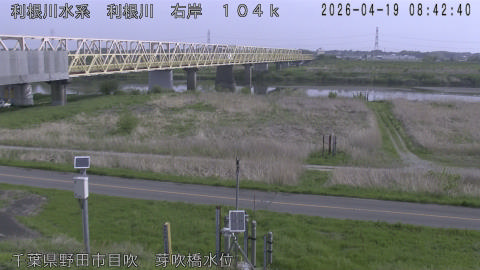 tonme2026041909_image