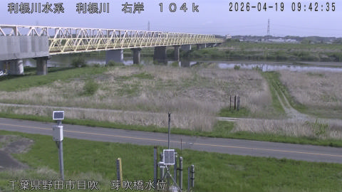 tonme2026041910_image