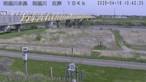 tonme2026041911_image