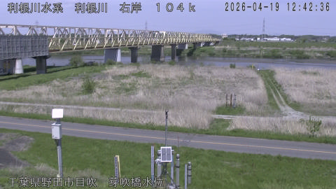 tonme2026041913_image