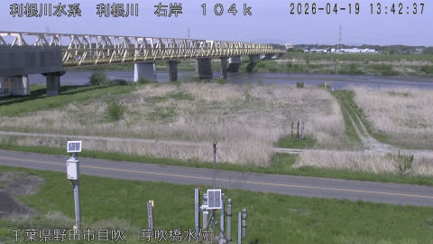 tonme2026041914_image