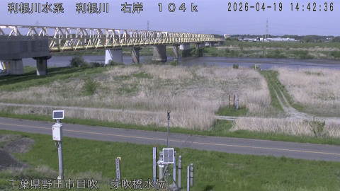 tonme2026041915_image