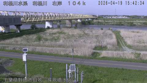 tonme2026041916_image