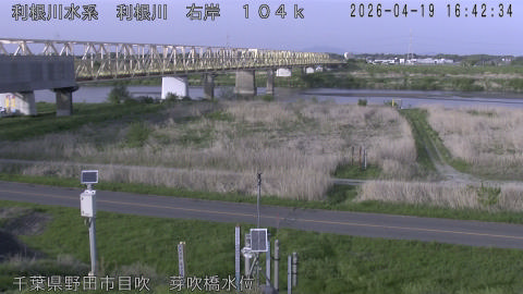 tonme2026041917_image