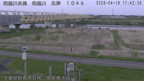 tonme2026041918_image