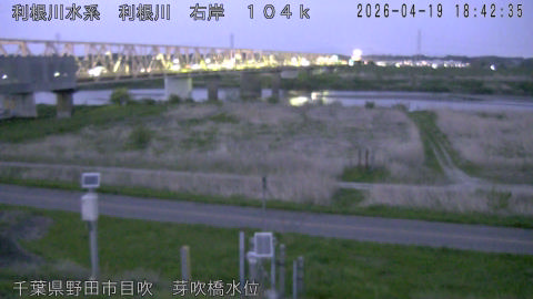 tonme2026041919_image