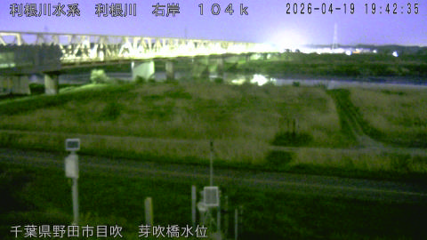 tonme2026041920_image