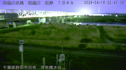 tonme2026041923_image