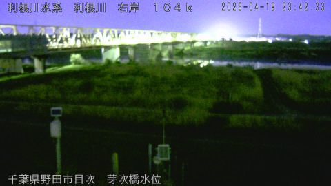 tonme2026042000_image