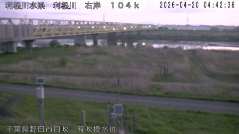 tonme2026042005_image