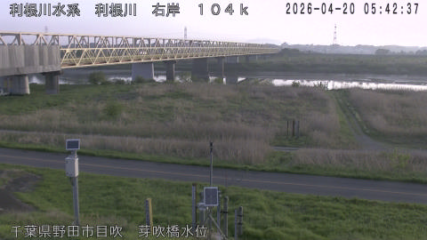 tonme2026042006_image