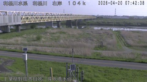 tonme2026042008_image