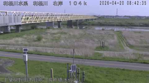 tonme2026042009_image