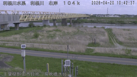 tonme2026042011_image