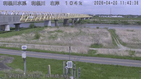 tonme2026042012_image