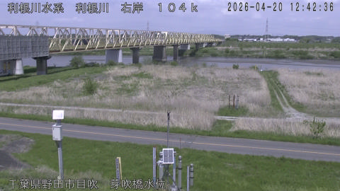 tonme2026042013_image