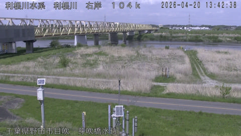 tonme2026042014_image