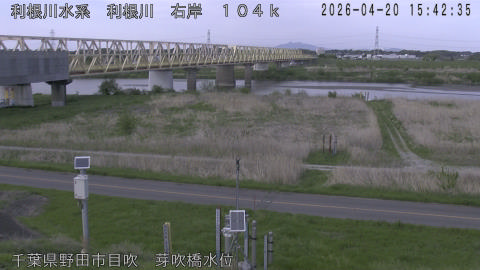 tonme2026042016_image