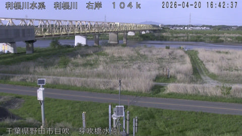 tonme2026042017_image