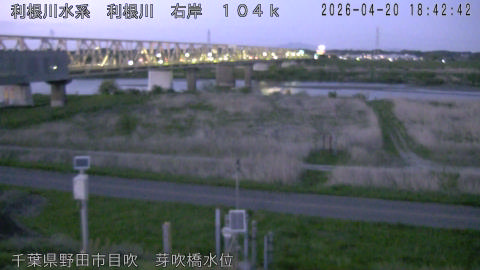 tonme2026042019_image