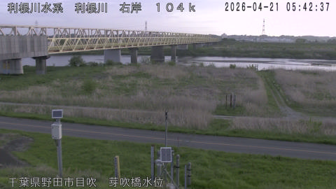 tonme2026042106_image